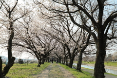 20180324153914_6J0A6475