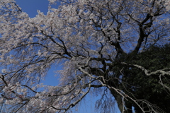 20180325161343_6J0A6967