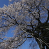 20180325161343_6J0A6967