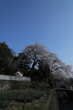 20180325162012_6J0A6981