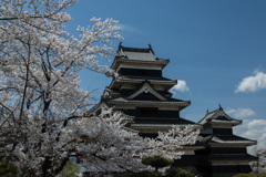 満開の城郭