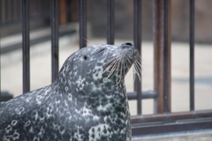 気持ちよさそう