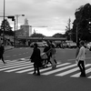 信号