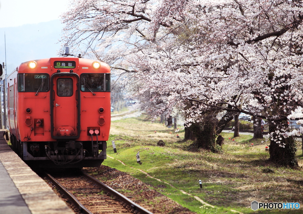 春という名の停車駅