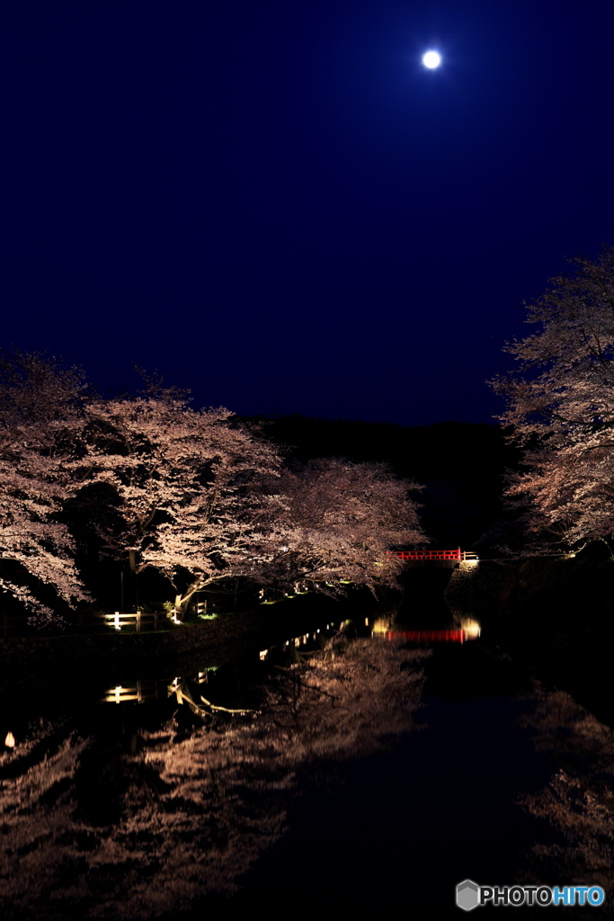 月と桜と赤い橋