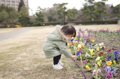 お花、みつけた