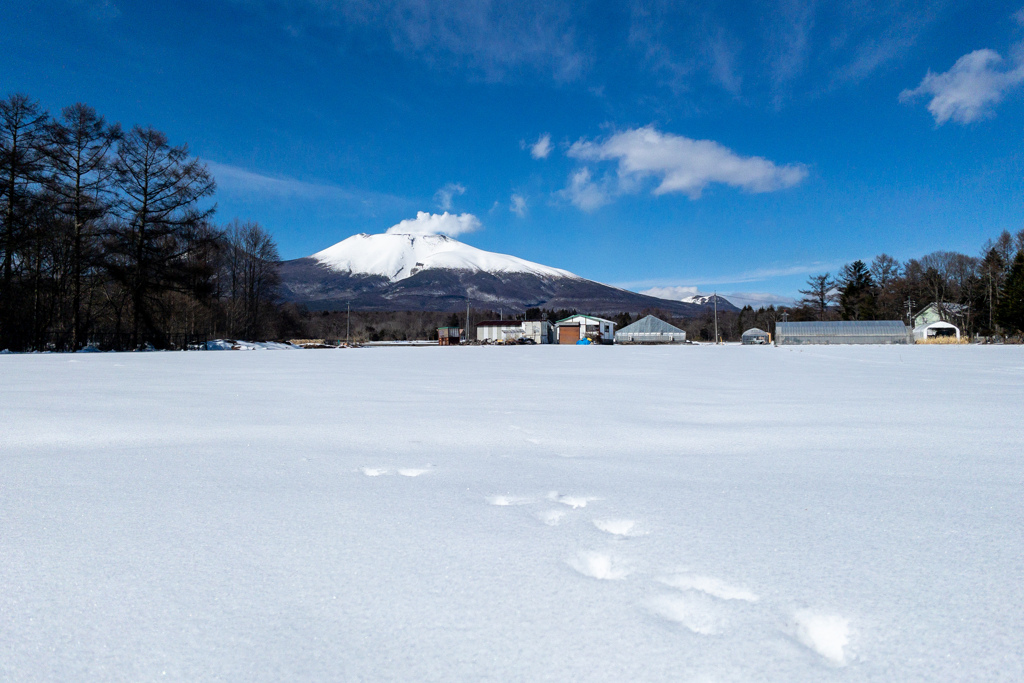 浅間山に続くアシアト