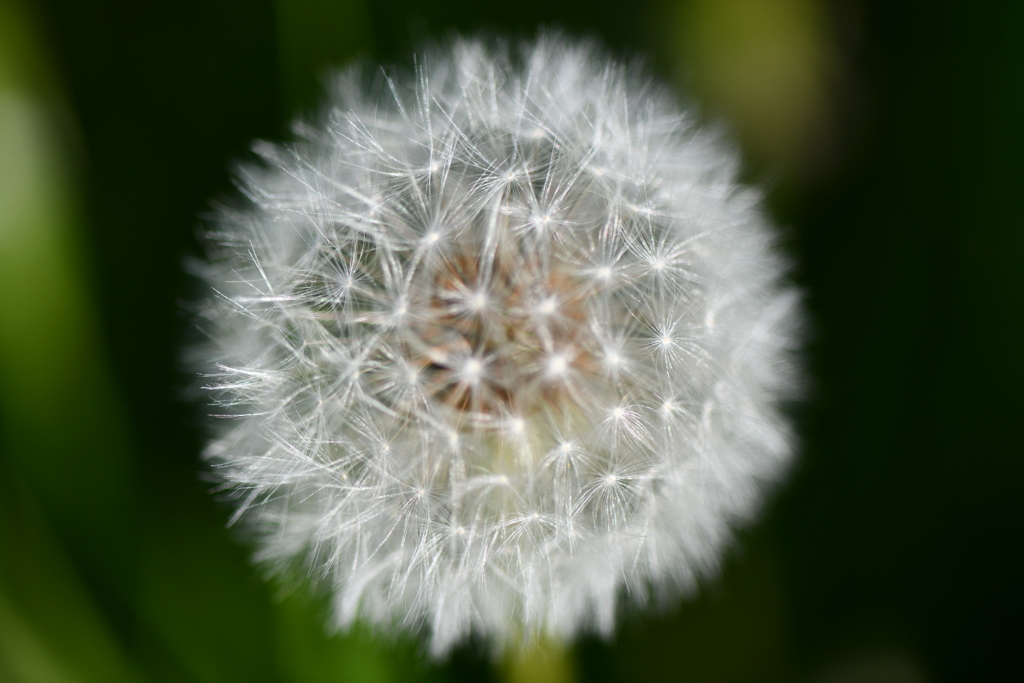DSC_0300