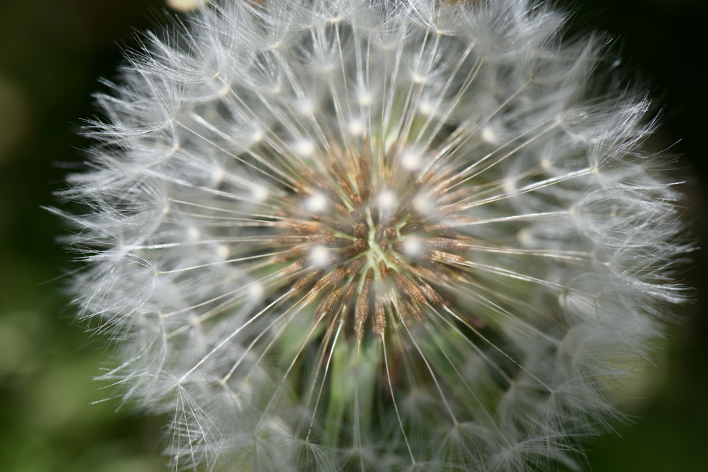 DSC_0263_1