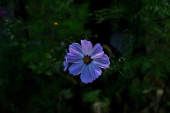 20181201_143450