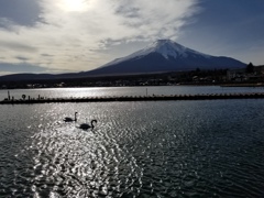 20171126_133858