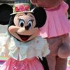 Mickey & Duffy's Spring Voyage 2012