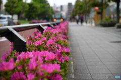 藤と猿と錦糸町0423＠5