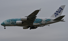 飛行機の丘6