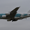 飛行機の丘6
