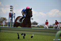 0408中山競馬場＠2