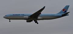飛行機の丘2