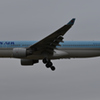 飛行機の丘2