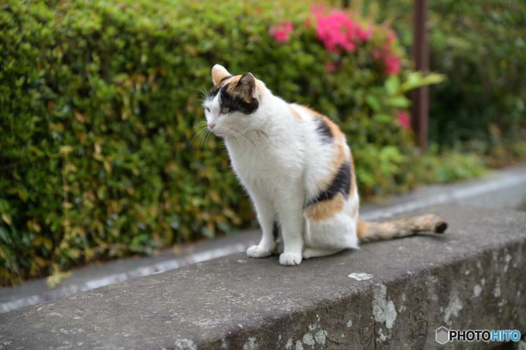 0427足利の寺＠4