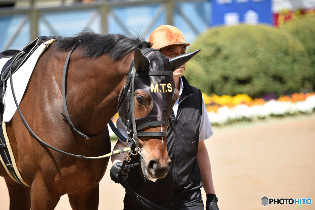 0408中山競馬場＠1