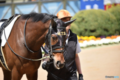 0408中山競馬場＠1