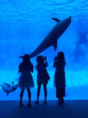 水族館