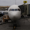 DL9901