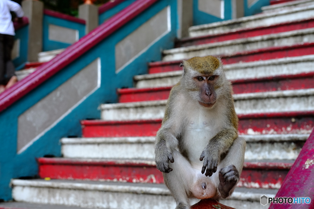 Kuala Lumpur Batu Caves