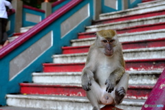 Kuala Lumpur Batu Caves