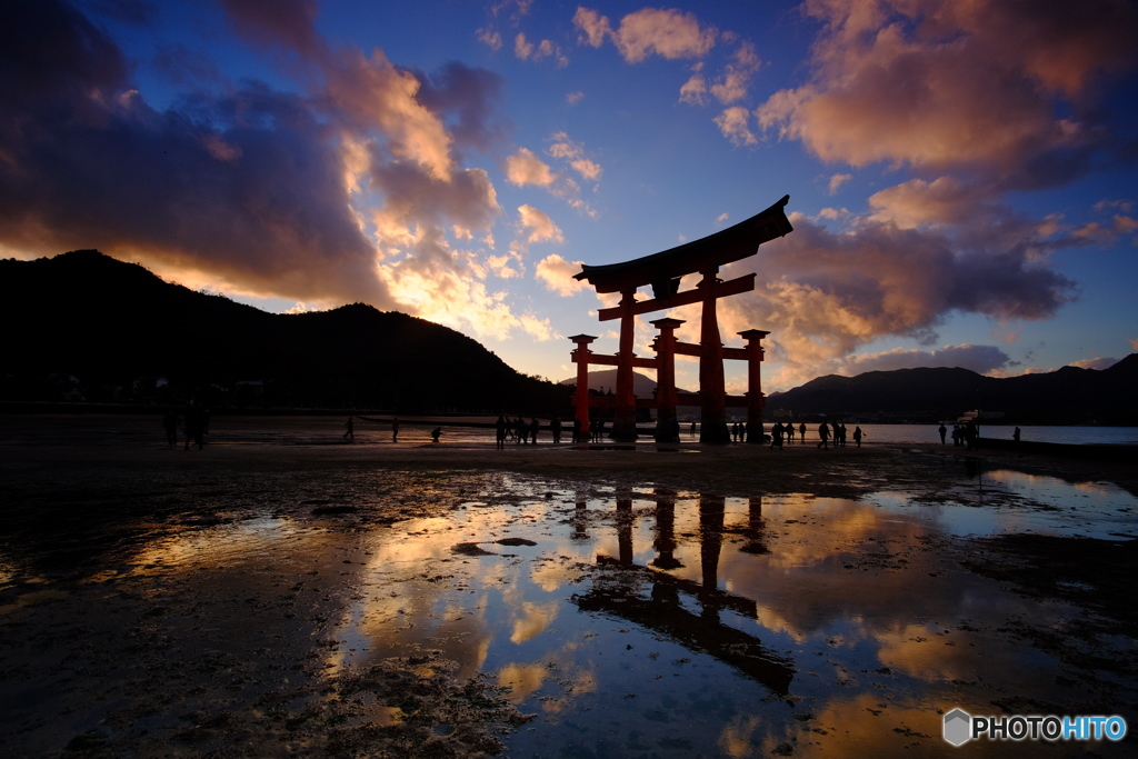 嚴島神社 大鳥居