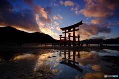 嚴島神社 大鳥居