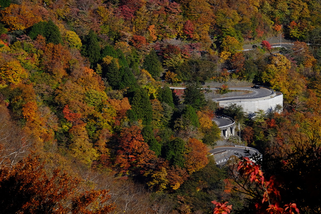 栃木県 日光 いろは坂 紅葉