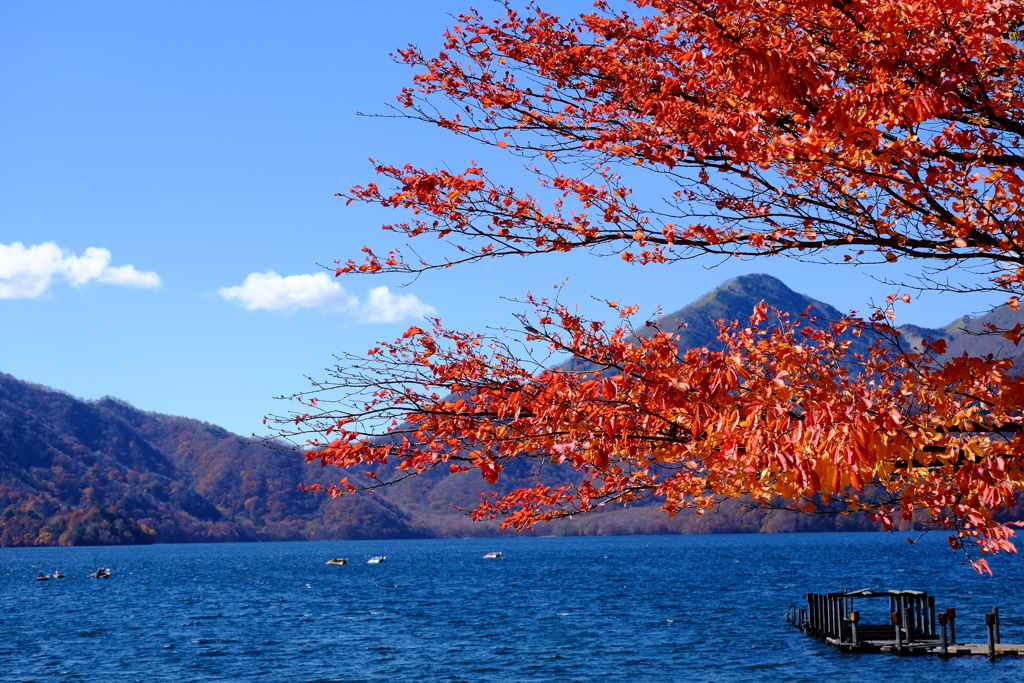 栃木県 日光 中禅寺湖 紅葉