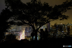 Hong Kong Garden Hill
