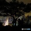 Hong Kong Garden Hill
