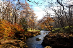 栃木県 日光 赤沼 紅葉