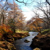 栃木県 日光 赤沼 紅葉