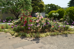 「外交官の家」の庭園？