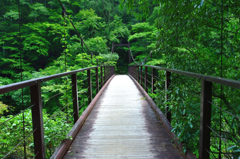 鳩ノ巣小橋