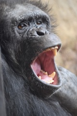 動物園での一枚