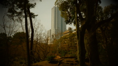 縮景園２