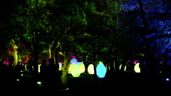 チームラボ広島城光の祭り　３
