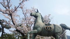 呉市：亀山神社