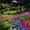 三室戸寺