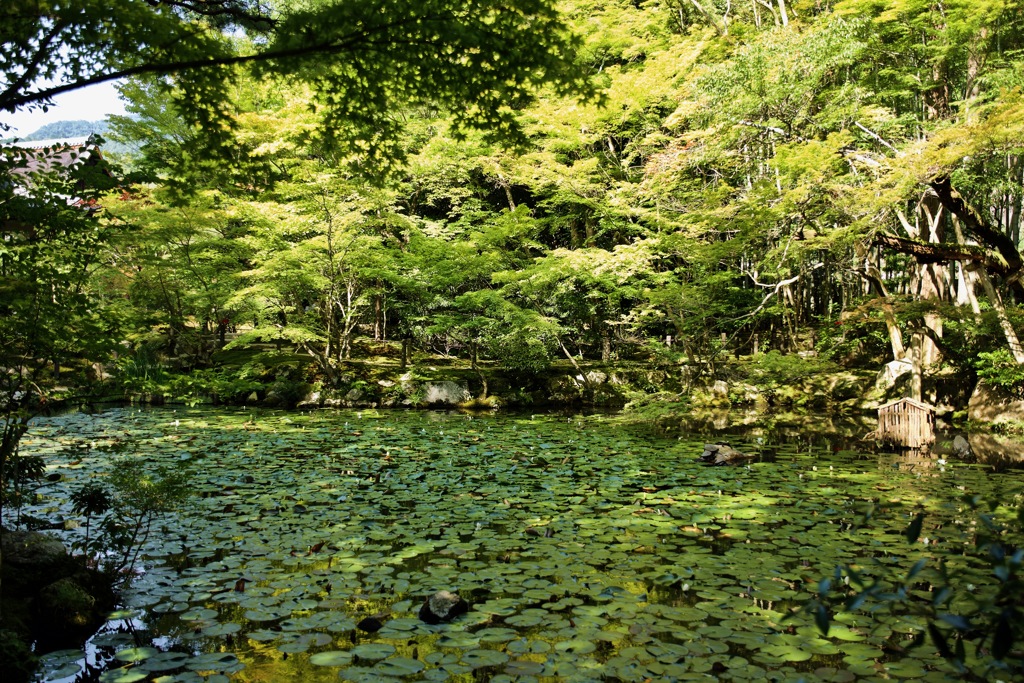 南禅寺