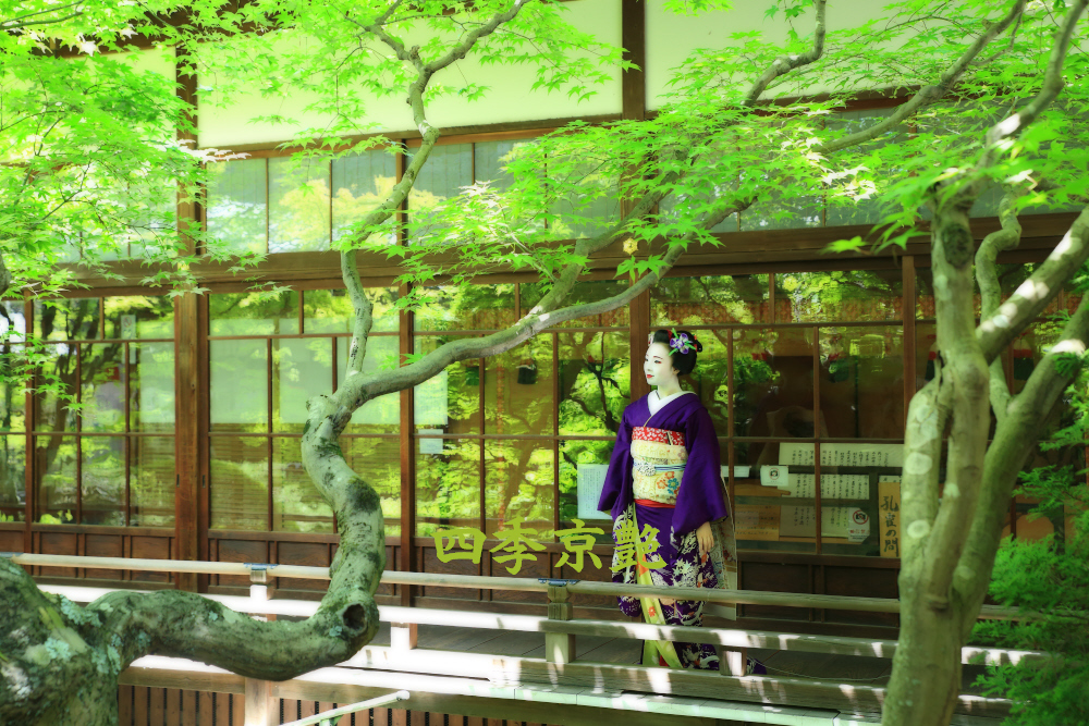 京艶　十一