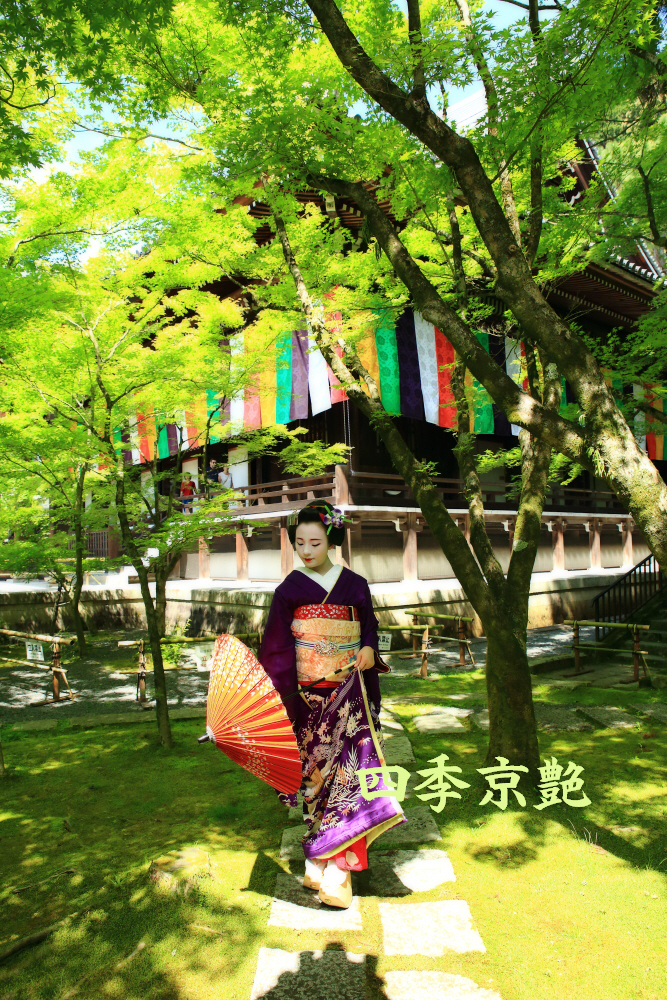 京艶　十九