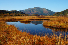 燧ケ岳の池塘と草紅葉