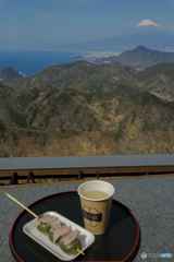 韮山で桜餅と桜茶