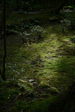 京都 醍醐寺